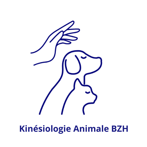 kinesiologie-animale-bzh.fr