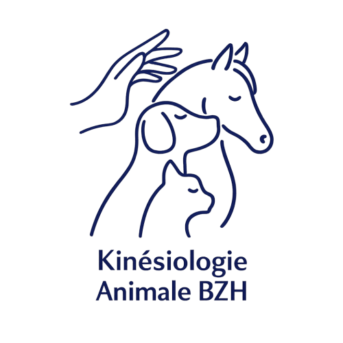 kinesiologie-animale-bzh.fr
